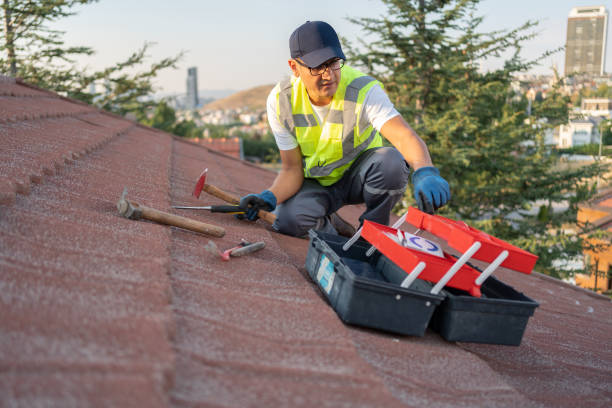 Best Brick Veneer Siding  in Morrisville, NC